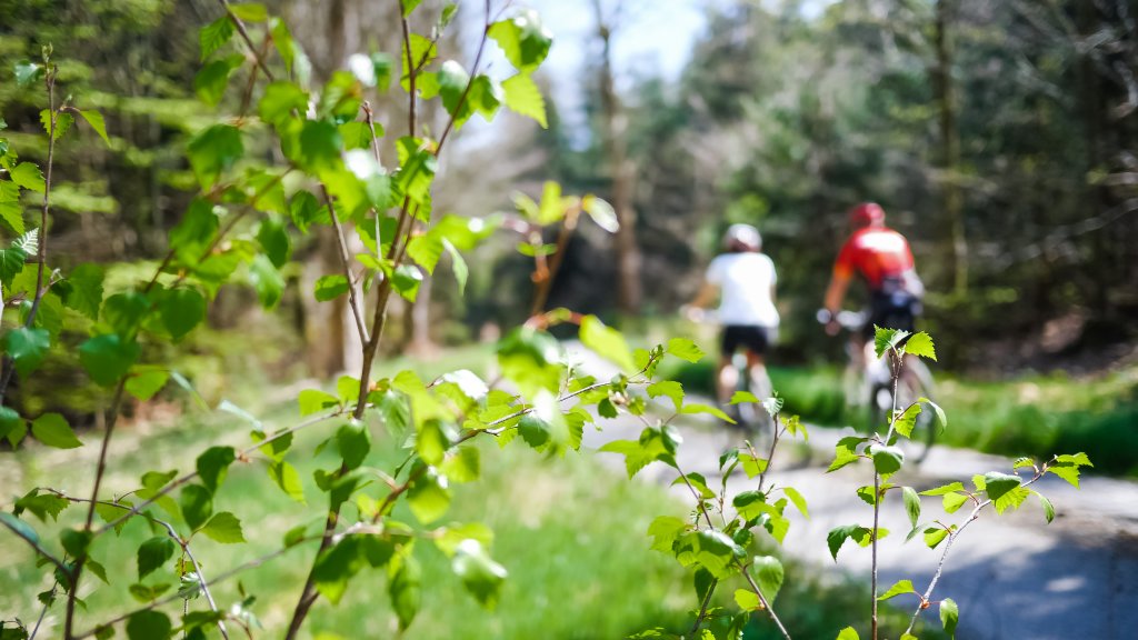 Český les láká cyklisty na nedotčený přírodní ráj (3) - Resort Český les