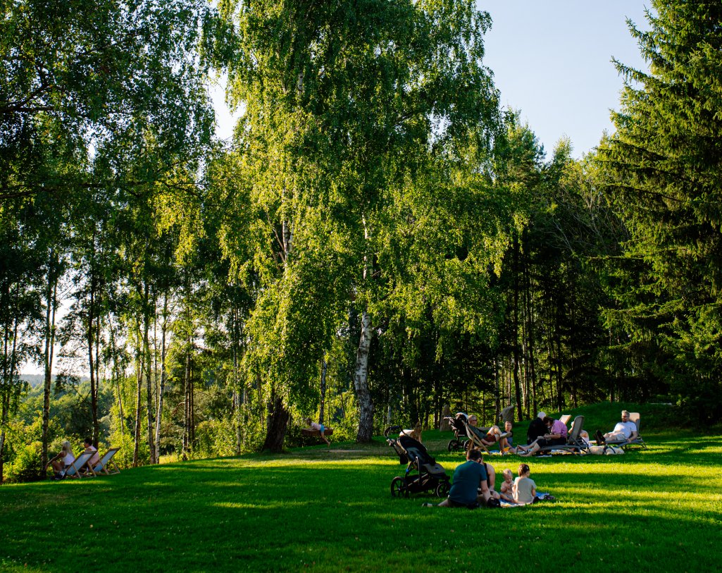 Analogový víkend: Proč je vypnout telefon nový luxus roku 2026 (3) - Resort Český les