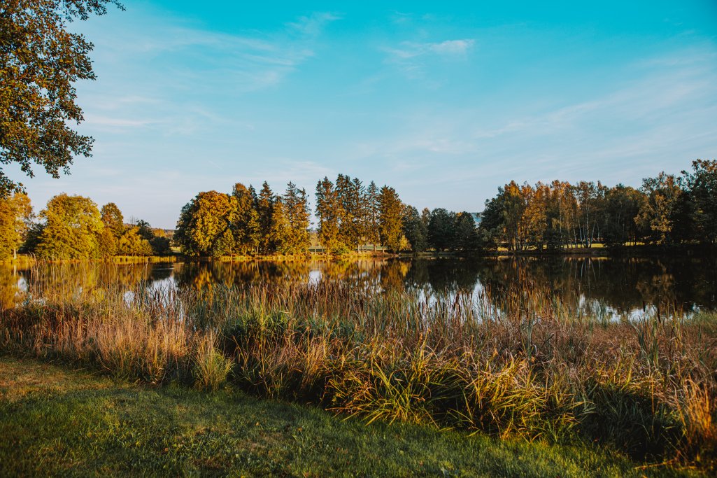 Rok Ohnivého koně začíná: Energie pohybu, odvahy a nových začátků (2) - Resort Český les