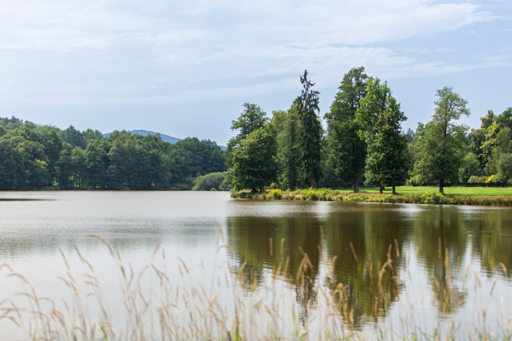 Rok Ohnivého koně začíná: Energie pohybu, odvahy a nových začátků (7) - Resort Český les