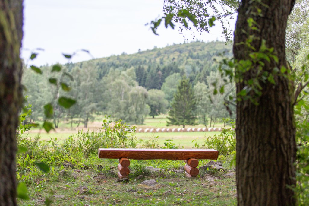 Jarní očista organismu: Přirozený restart těla v Českém lese (11) - Resort Český les