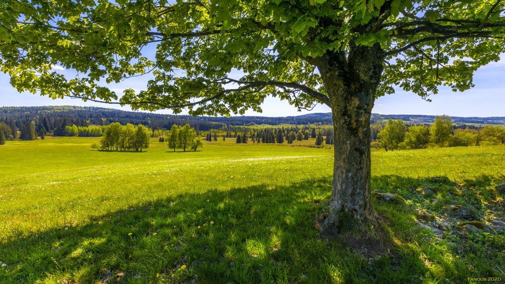 Duben v Českém lese: 7 důvodů, proč je začátek jara nejkrásnější právě tady a teď (5) - Resort Český les
