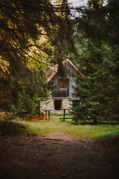 Aktivity v České lese - Pěší turistika (10) - Resort Český les