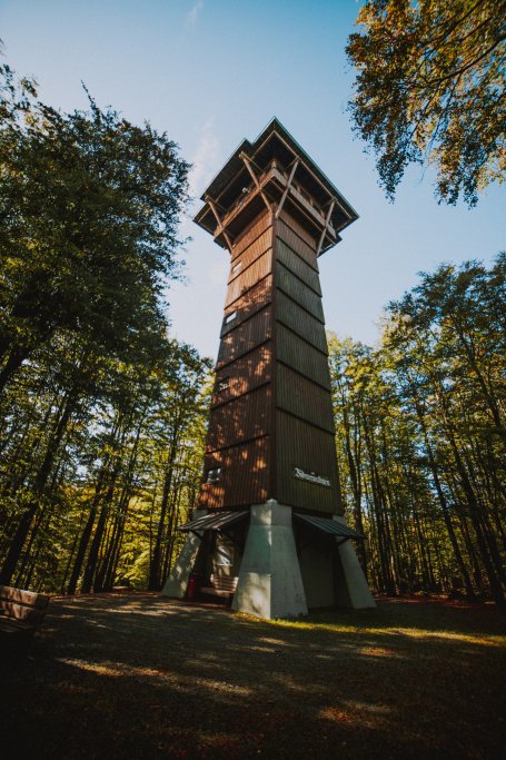 Aktivity v České lese - Pěší turistika (22) - Resort Český les