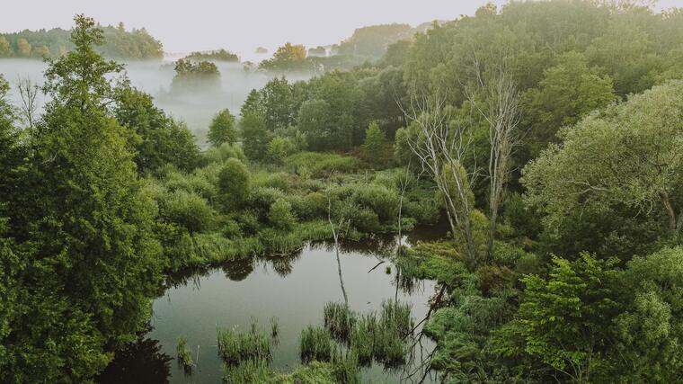 Obora Srdíčko a okolí resortu 22
