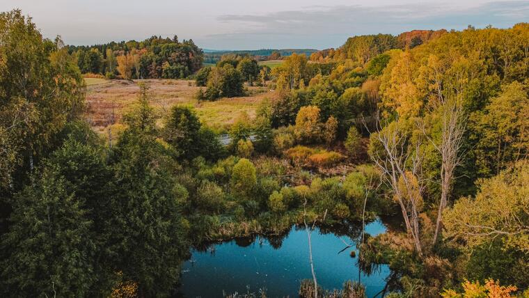 Obora Srdíčko a okolí resortu 28