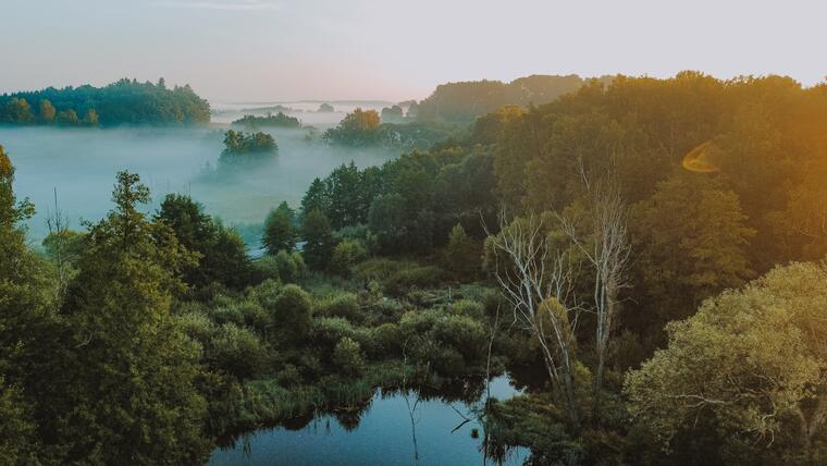 Obora Srdíčko a okolí resortu 23