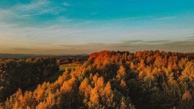Obora Srdíčko a okolí resortu 14